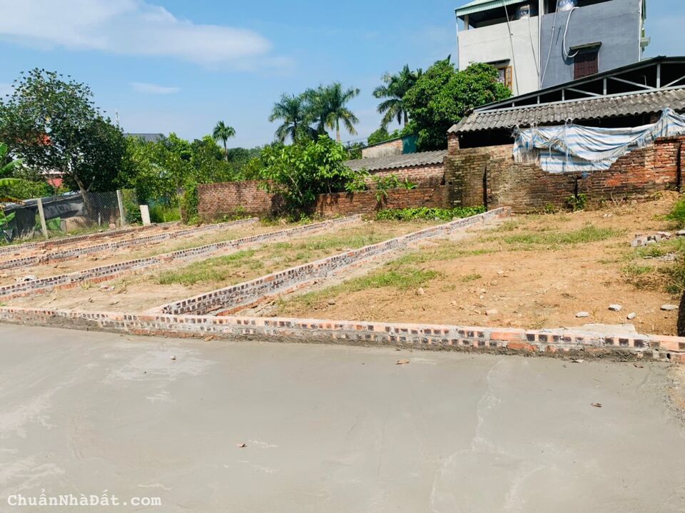 Chỉ 790tr/50m đất Quảng Hội Quang Tiến đường 4m sẵn sổ đỏ