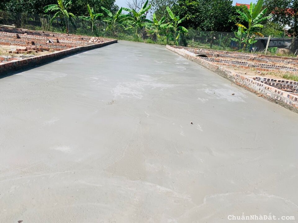 Chỉ 790tr/50m đất Quảng Hội Quang Tiến đường 4m sẵn sổ đỏ