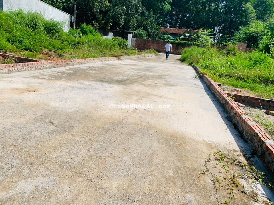 Chỉ 790tr/50m đất Quảng Hội Quang Tiến đường 4m sẵn sổ đỏ