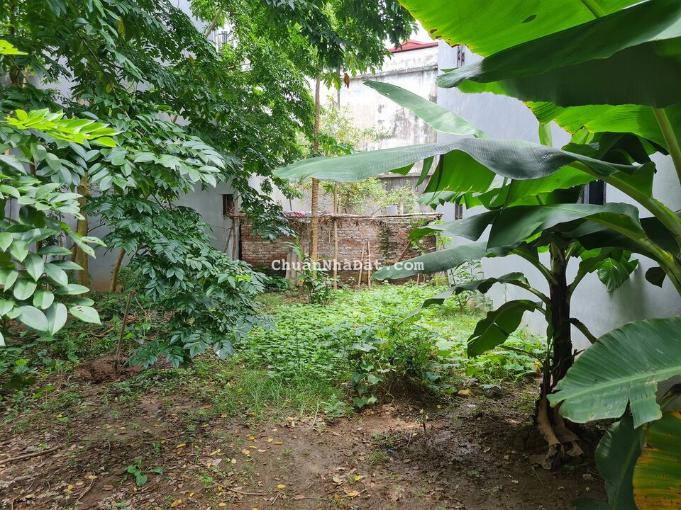 Bán đất phân lô Lâm Hạ,Long Biên,2 mặt tiền,đường ô tô,65m,mt 6m,giá 10 tỷ.