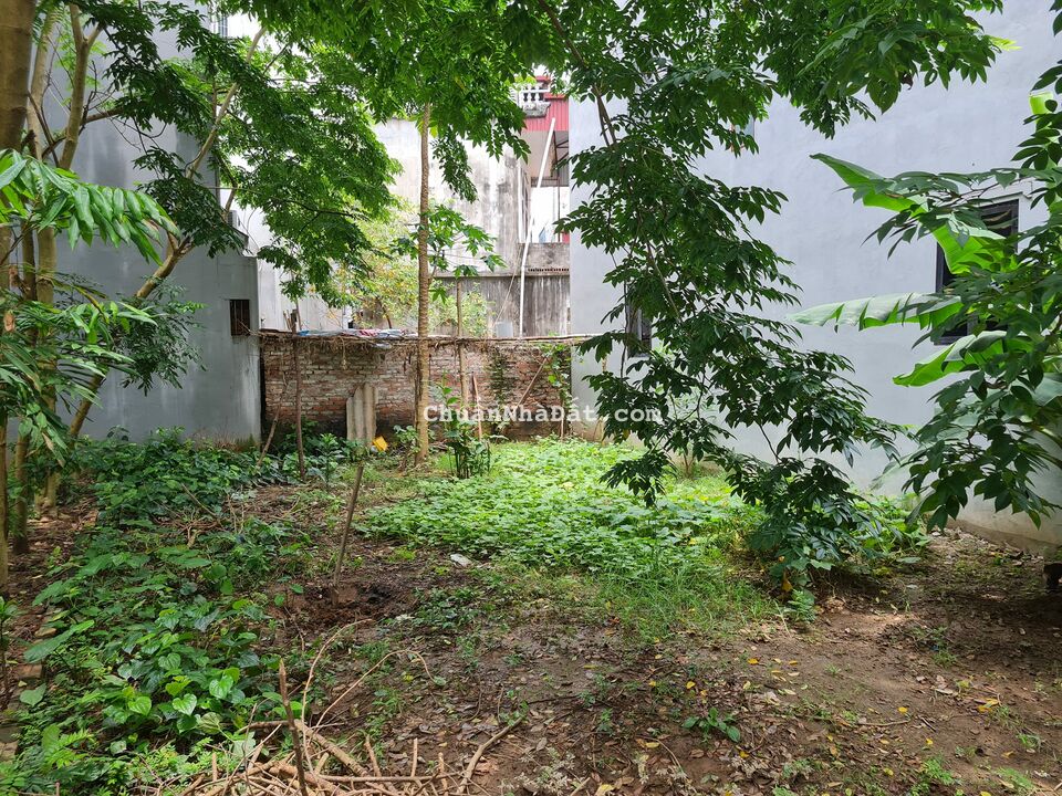 Bán đất 2 mặt tiền gần Bic C, mặt phố Nguyễn Văn Linh,Long Biên, 257m,mt 10m,giá 23 tỷ.