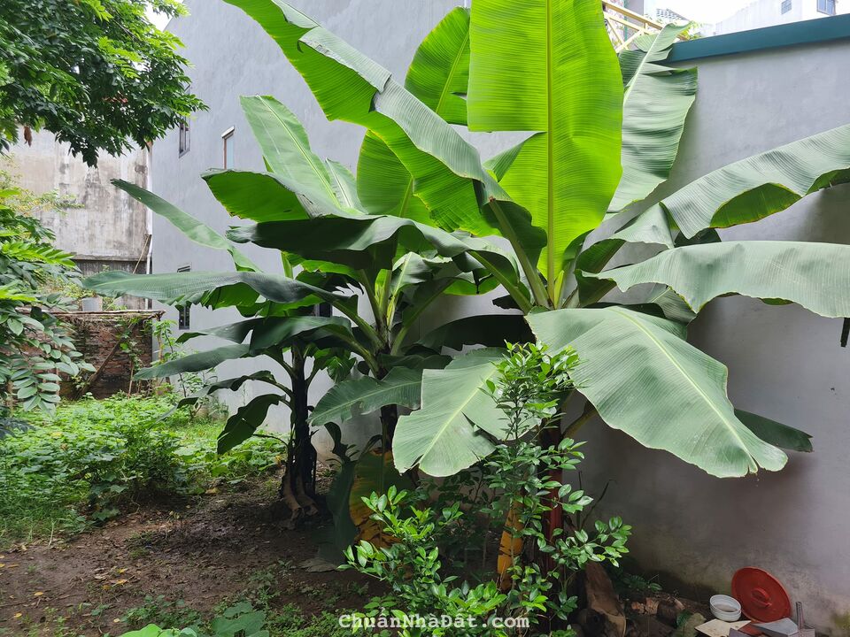 Bán đất 2 mặt tiền gần Bic C, mặt phố Nguyễn Văn Linh,Long Biên, 257m,mt 10m,giá 23 tỷ.