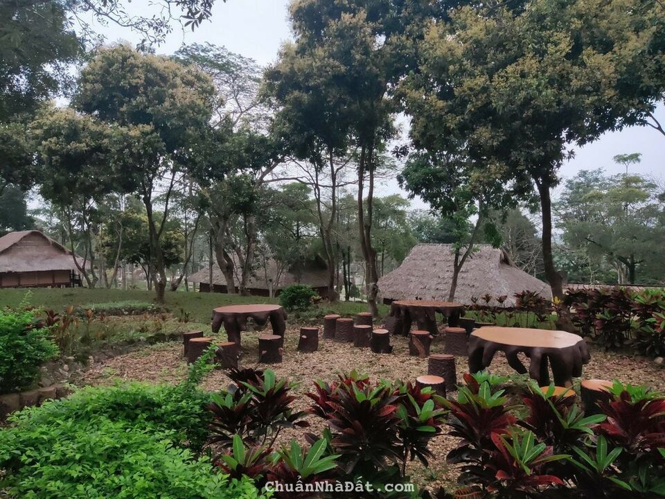 Cần Chuyển Nhượng Khu Nghỉ Dưỡng Ba Vì 160ha Đầy Đủ Các Tiện Ích Đẳng Cấp Cần Chuyển Nhượng Khu Nghỉ Dưỡng Ba Vì 160ha Đầy Đủ Các Tiện Ích Đẳng Cấp