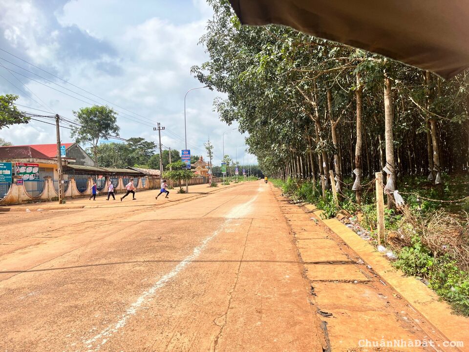 Đất Phú Lộc- Đầu tư ngay hôm nay giá siêu HOT chỉ từ 668Tr liên hệ ngay Đất Phú Lộc- Đầu tư ngay hôm nay giá siêu HOT chỉ từ 668Tr liên hệ ngay