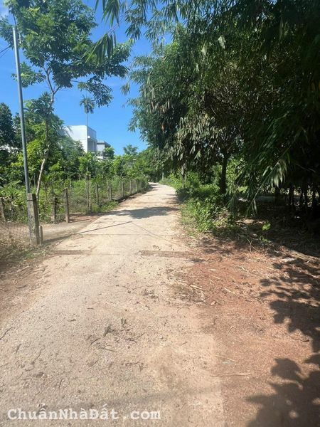 Bán Đất Mặt Tiền Kiệt 109 Minh Mạng - Phường Thủy Xuân - Tương Lai Thành Đường 19M5