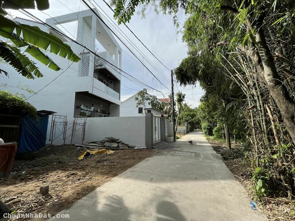 Bán đất Tây Trì Nhơn cách chợ Mai chưa đến 200m Bán đất Tây Trì Nhơn cách chợ Mai chưa đến 200m