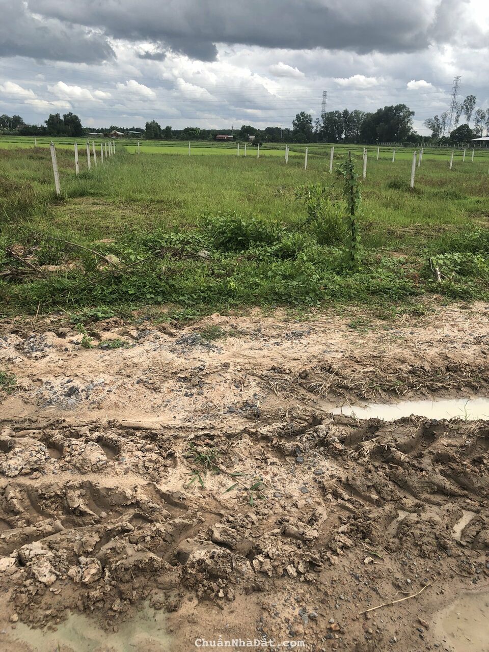 Kiếm đâu ra 500m2 đất vườn, xã Trung Lập Hạ, Củ Chi, giá 1.35tỷ