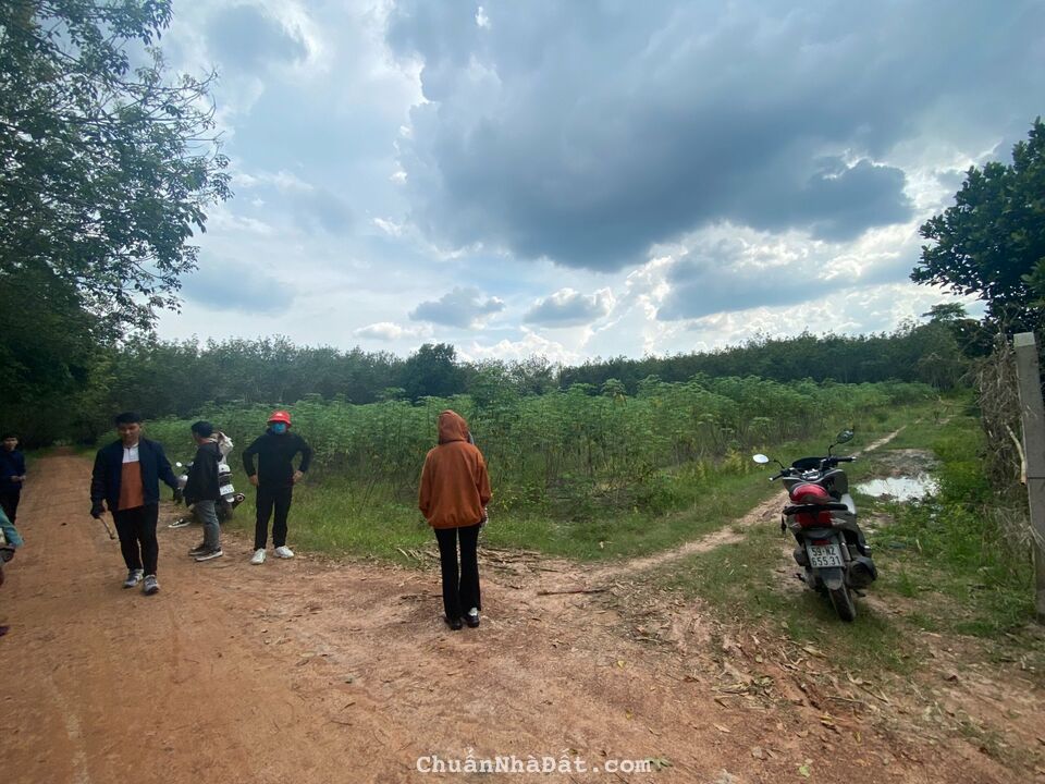 HOT HOT HOT !!!!!!!!!! Đất đầu tư tại Tân Châu – Tây Ninh.