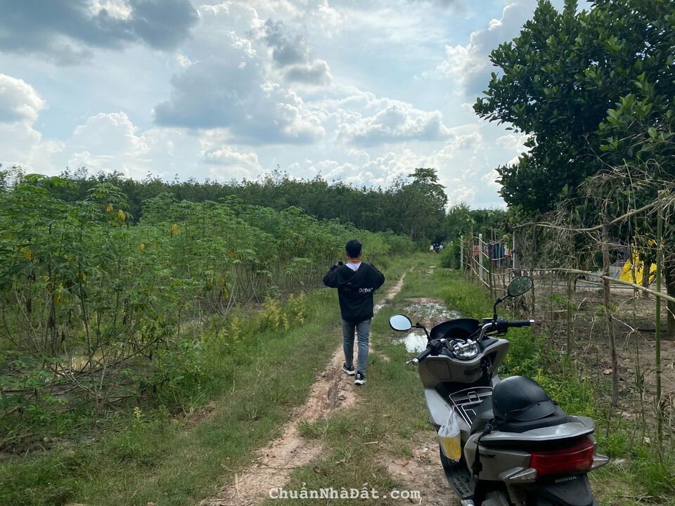 HOT HOT HOT !!!!!!!!!! Đất đầu tư tại Tân Châu – Tây Ninh.