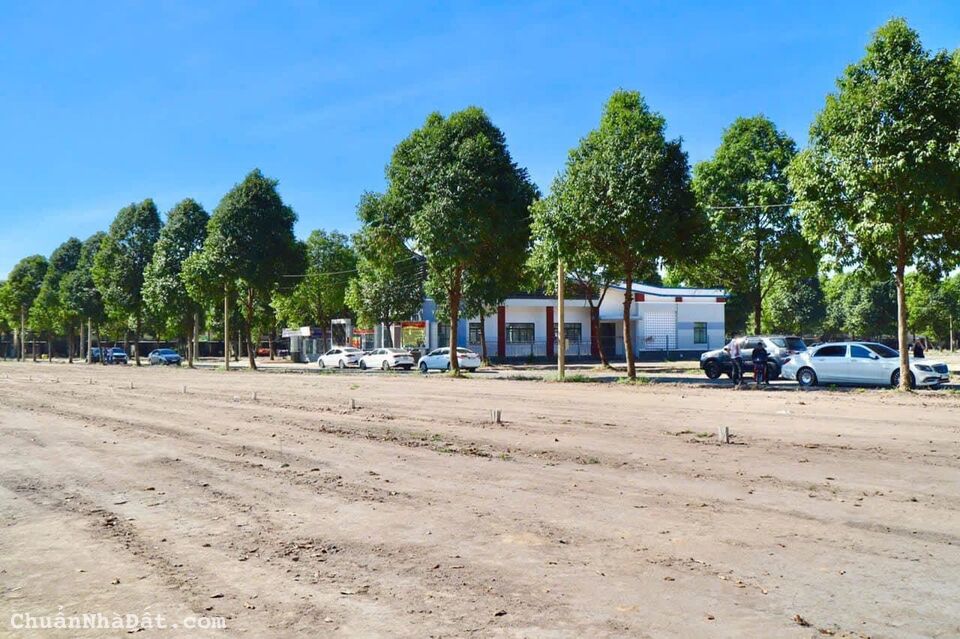 Chỉ cần thanh toán 287 triệu sở hữu đất ở đô thị ngay TTHC Bàu Bàng