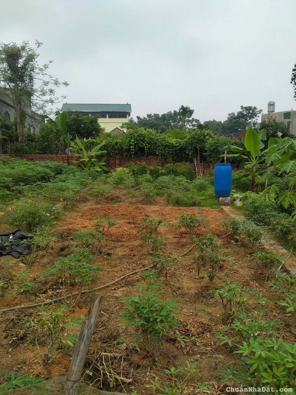 Bán Đất - Hạ Bằng - Thạch Thất - Hà Nội