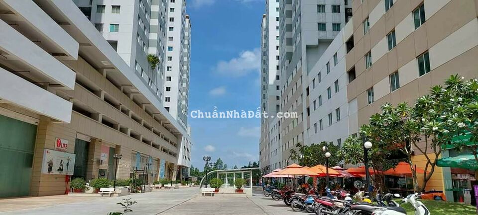 Cho thuê chung cư quân 7, thuê căn hộ quận 7, cho thuê chung cư Belleza, phường Phú Mỹ, Quận 7