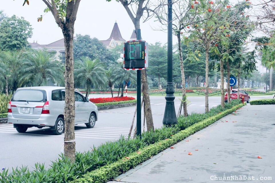 Biệt thự Ciputra 453m2 lô góc vip nhất nhỉnh 200 tỷ Biệt thự Ciputra 453m2 lô góc vip nhất nhỉnh 200 tỷ