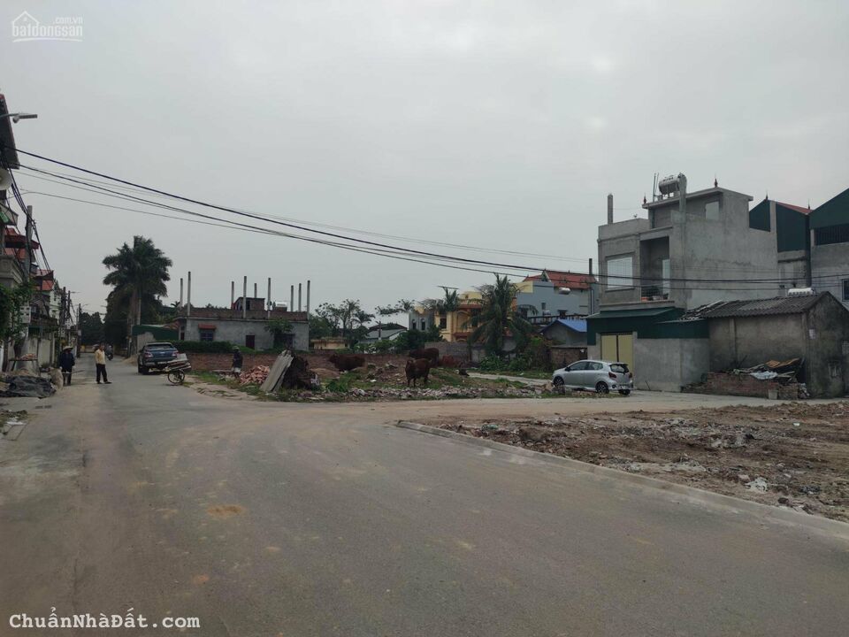 Tôi chính chủ cần bán đất đấu giá thôn Cổ Giang, Lệ Chi, DT 77.4m2. Tôi chính chủ cần bán đất đấu giá thôn Cổ Giang, Lệ Chi, DT 77.4m2.