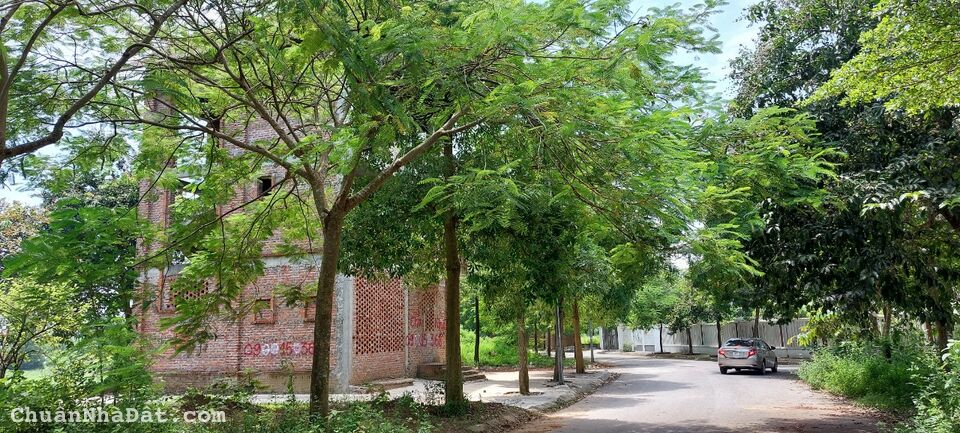 Bán đất biệt thự mặt đầm tự nhiên tại Tiền Phong - mê Linh Bán đất biệt thự mặt đầm tự nhiên tại Tiền Phong - mê Linh