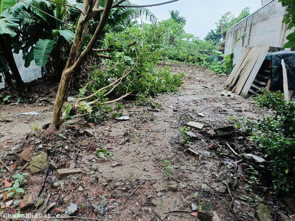 Bán đất thạch bàn 252M ô tô qua 1 nhà ra ô tô tránh dừng đỗ long biên