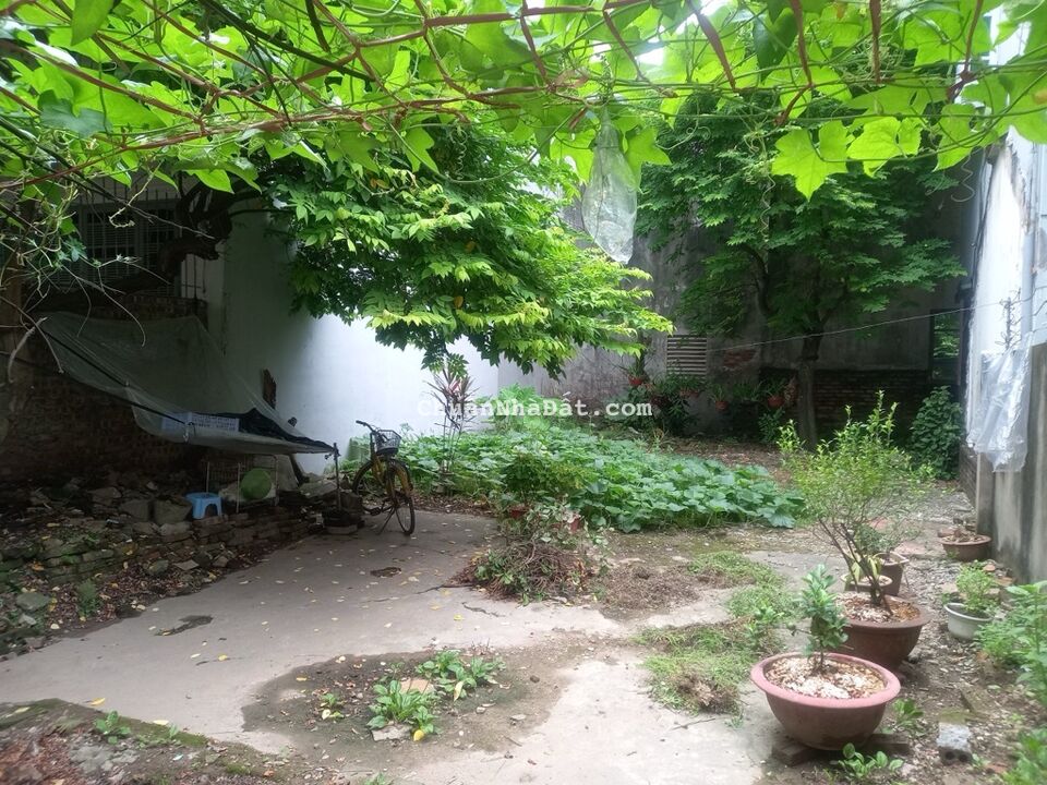 Giá đầu tư minh khai gốc đề bán 121M đất hoàng mai