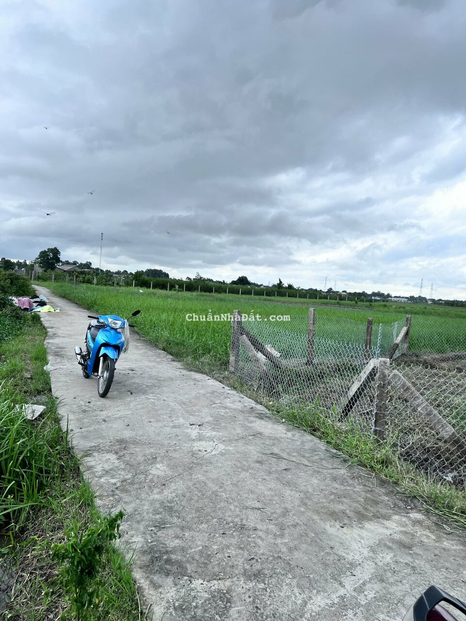 🌈🌈 SIÊU HOT - ĐẤT THỔ - DT 5,2*32 Ở TÂN TRỤ - TẶNG 90 MV THỔ -720 TR- LH 0906.506.516