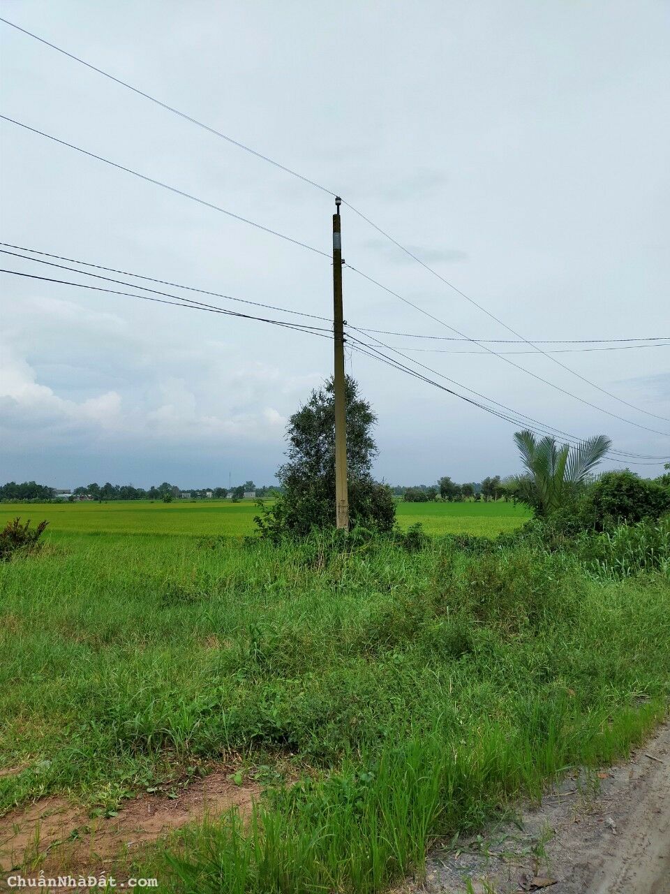 04-1022- 🏡🏡 THỔ CƯ 100% - BẾN LỨC - XE BEN TỚI NƠI - 5x22 - CHỈ 920 TR