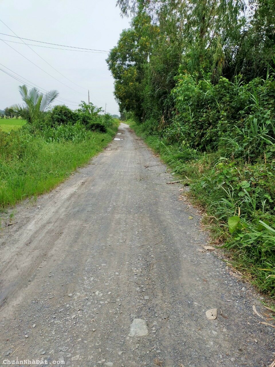 04-1022- 🏡🏡 THỔ CƯ 100% - BẾN LỨC - XE BEN TỚI NƠI - 5x22 - CHỈ 920 TR