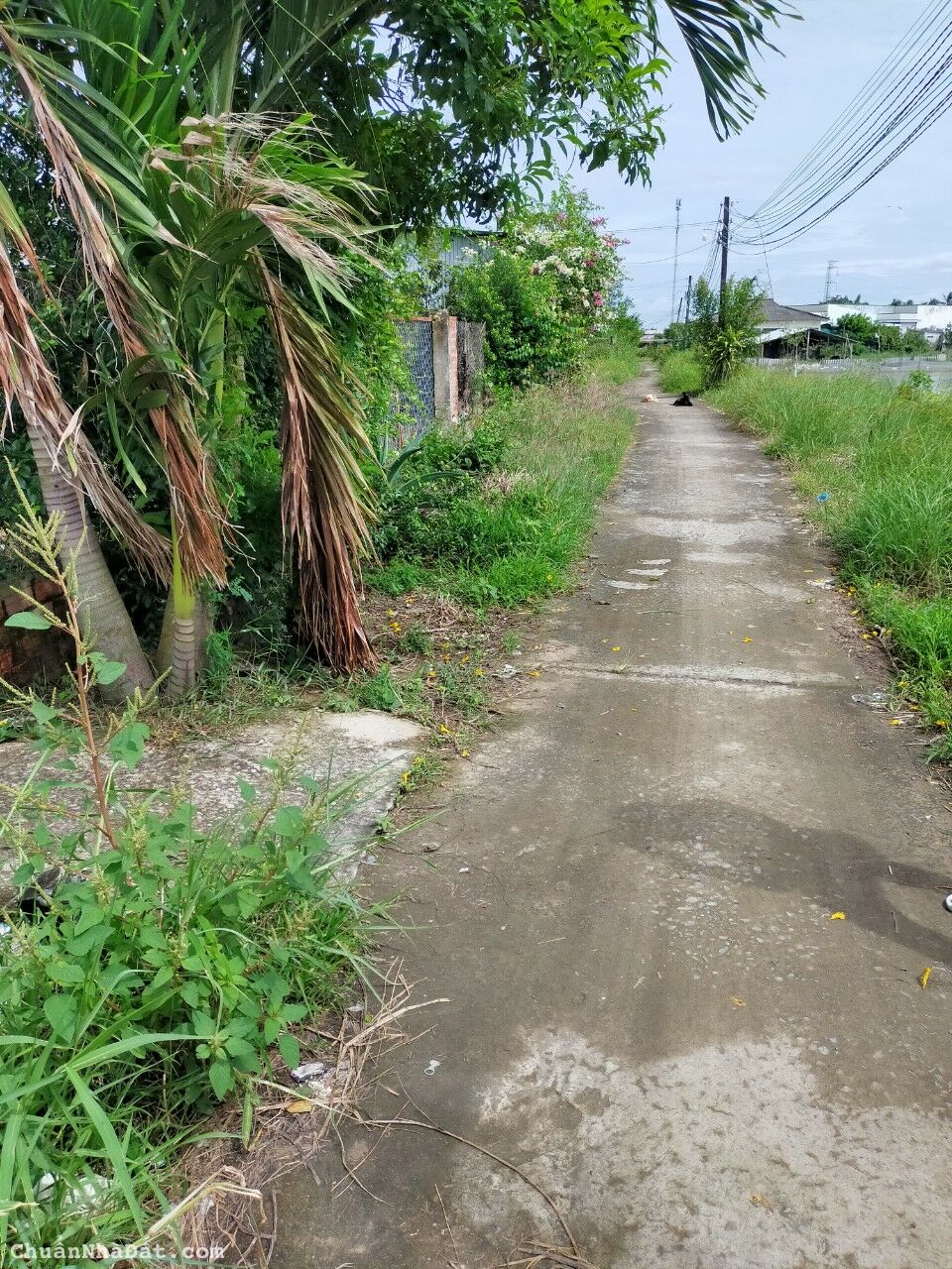 16-0922- 🌈🌈 ĐẤT THỔ - TÂN TRỤ - 5*30 - CHỈ 740 TR