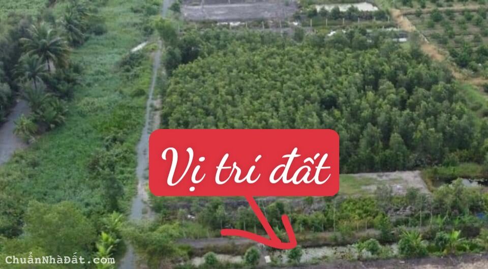 07-0922- 🎄🎄 ĐẤT VƯỜN - THỦ THỪA - XE HƠI TỚI ĐẤT - 500 mv - 620 TR