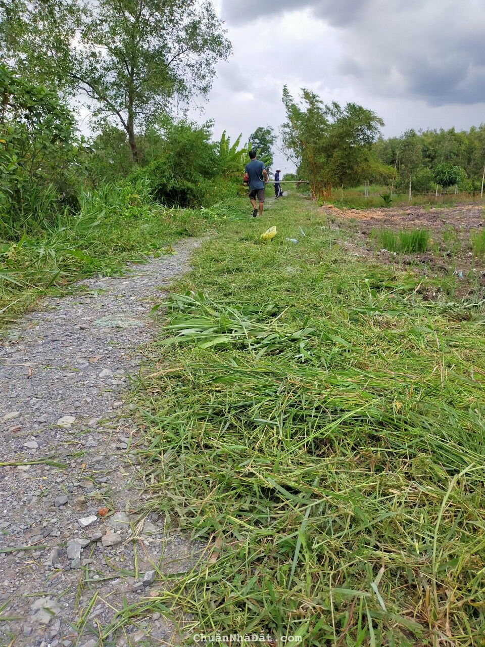 02-0922- 🌸🌸 THỔ CƯ 100% - THỦ THỪA - 2 MẶT TIỀN - 10*25 - 850 TR