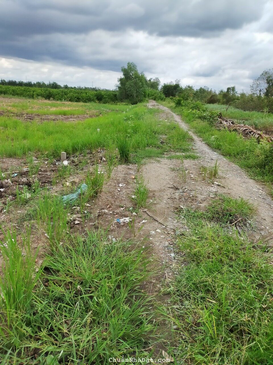 02-0922- 🌸🌸 THỔ CƯ 100% - THỦ THỪA - 2 MẶT TIỀN - 10*25 - 850 TR