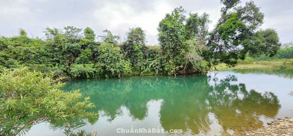 Bán nhà kho, xưởng, trang trại tại thị trấn Prao, H. Đông Giang, 13.000m2, 2.8 tỷ