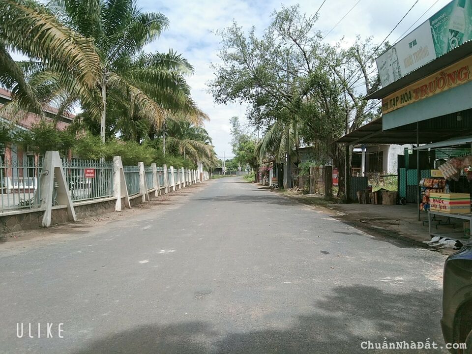 CẦN TIỀN NÊN VỢ CHỒNG TÔI BÁN GẤP MIẾNG ĐẤT 5*17 ĐƯỜNG Ô TÔ 2/BÀ TRIỆU GẦN CHỢ HÓC MÔN SHR