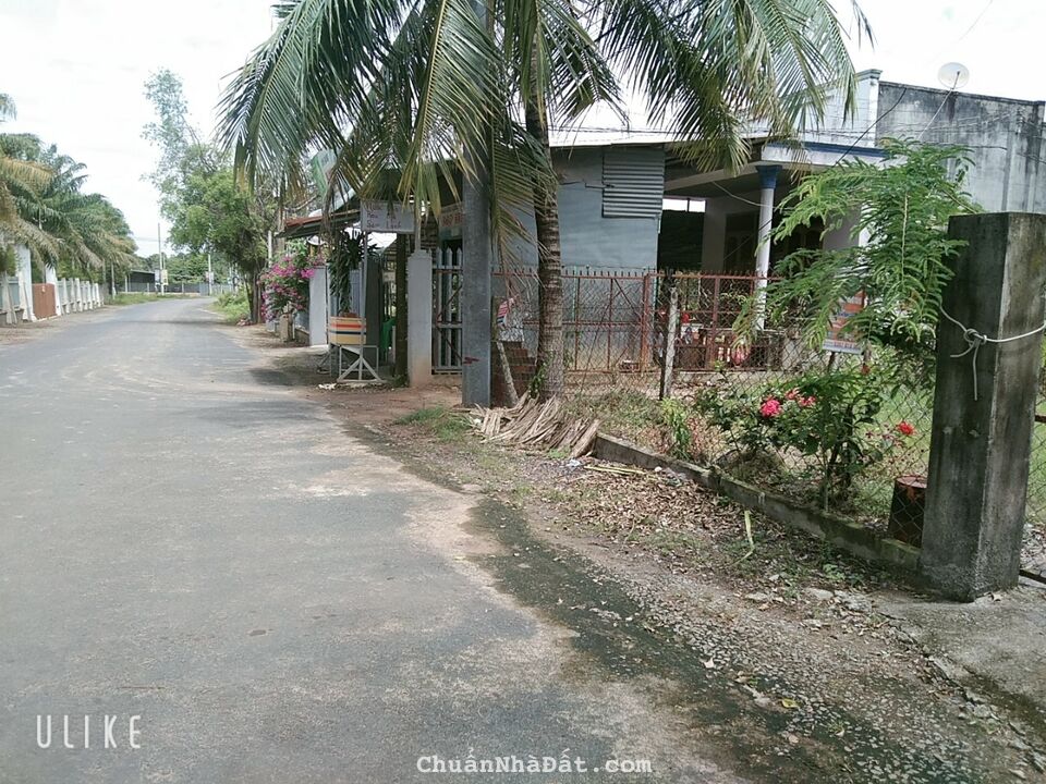 CẦN TIỀN NÊN VỢ CHỒNG TÔI BÁN GẤP MIẾNG ĐẤT 5*17 ĐƯỜNG Ô TÔ 2/BÀ TRIỆU GẦN CHỢ HÓC MÔN SHR