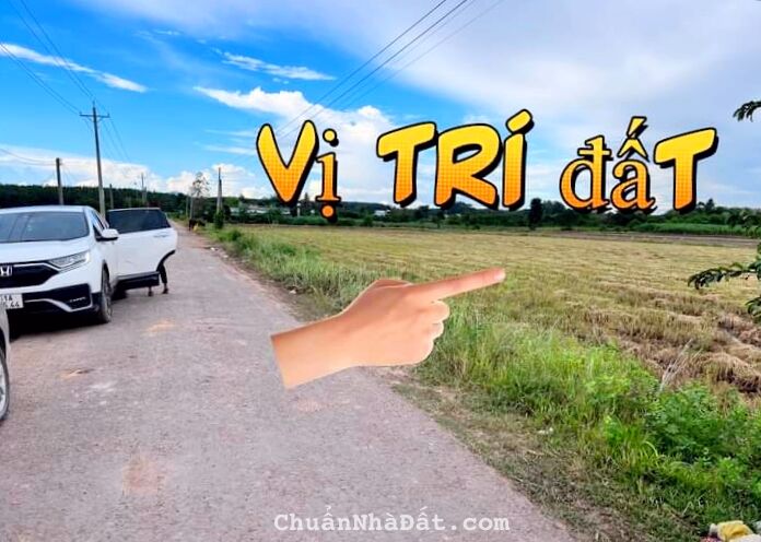 ĐẤT ĐƯờNG NHỰA 2000m2 MT TL 786 Giá 3 tỷ NGAY CHỢ BẾN CẦU