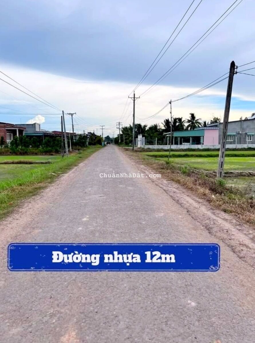 ĐẤT ĐƯờNG NHỰA 2000m2 MT TL 786 Giá 3 tỷ NGAY CHỢ BẾN CẦU