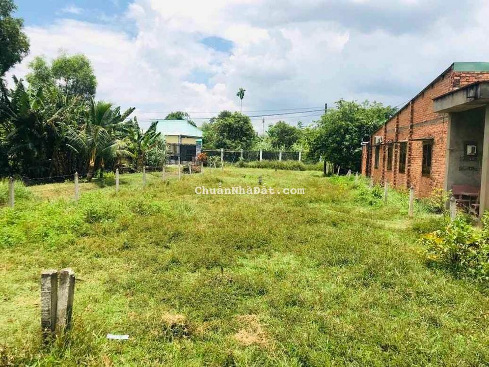 ĐẤT ĐƯờNG NHỰA 1000m2 MT NHÁNH TL 786 Giá Thương Lượng NGAY ỦY BAN BẾN CẦU