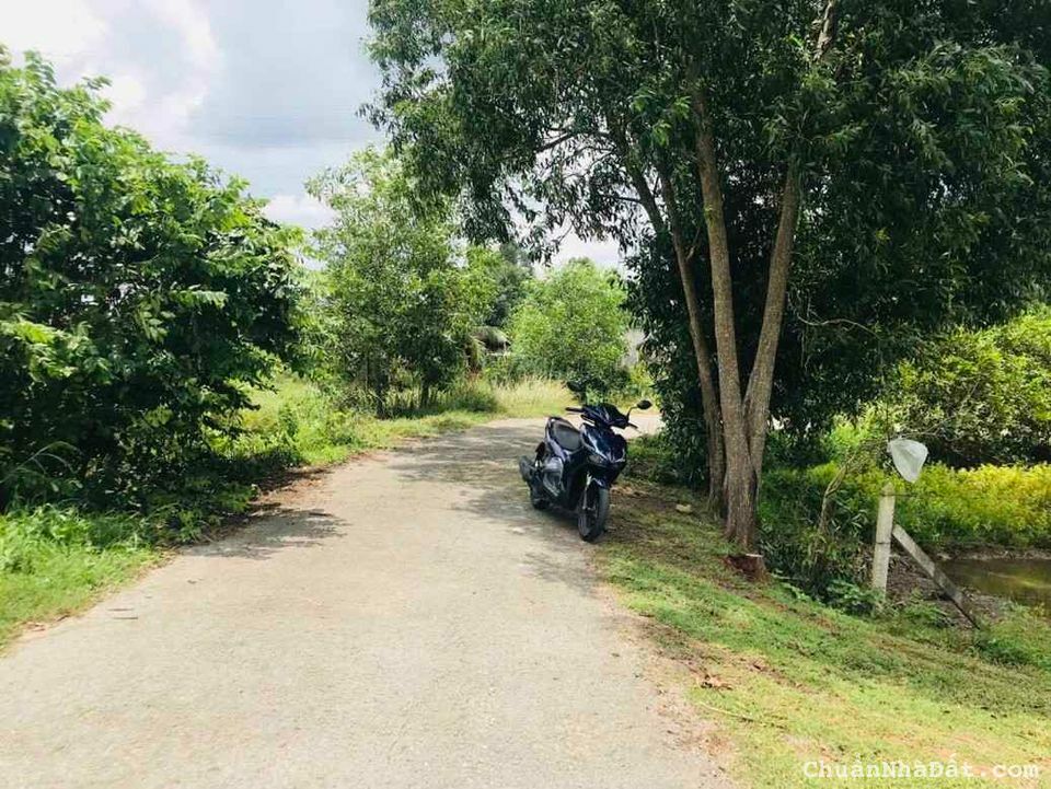 ĐẤT ĐƯờNG NHỰA 1000m2 MT NHÁNH TL 786 Giá Thương Lượng NGAY ỦY BAN BẾN CẦU