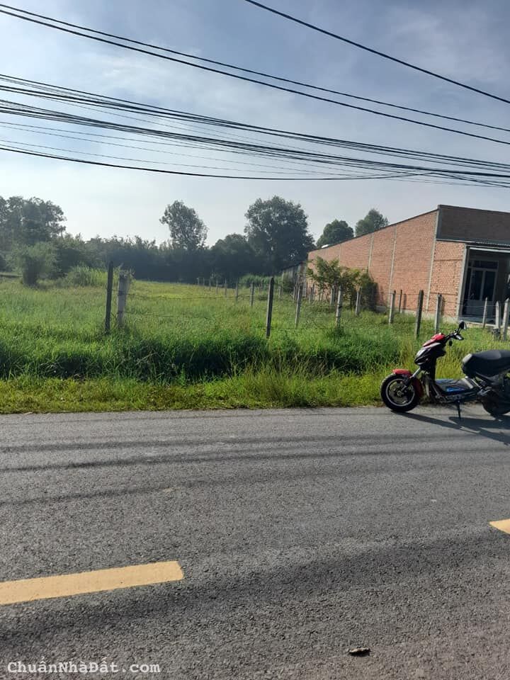 ĐẤT ĐƯờNG NHỰA 1000m2 MT NHÁNH TL 786 Giá Thương Lượng NGAY ỦY BAN BẾN CẦU