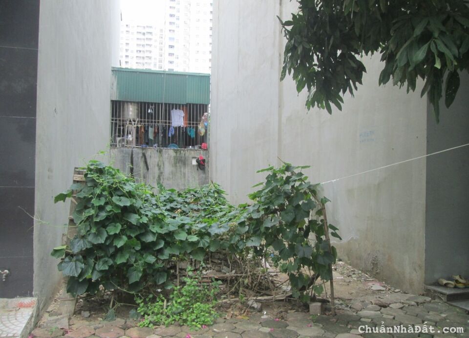 NHỈNH 2 tỷ, 33m2 đất mặt ngõ 750 Kim Giang cạnh KĐT Linh Đàm, taxi đỗ cửa. LH 0989.62.6116 NHỈNH 2 tỷ, 33m2 đất mặt ngõ 750 Kim Giang cạnh KĐT Linh Đàm, taxi đỗ cửa. LH 0989.62.6116