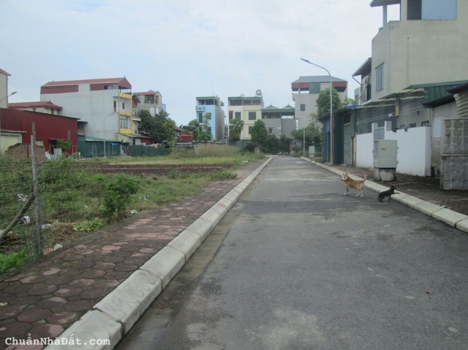 Thua bóng bán Gấp lô Góc đất đấu giá Đại Áng cạnh chợ Đám 61m2 chỉ 4.38 tỷ. LH 0989.62.6116 Thua bóng bán Gấp lô Góc đất đấu giá Đại Áng cạnh chợ Đám 61m2 chỉ 4.38 tỷ. LH 0989.62.6116