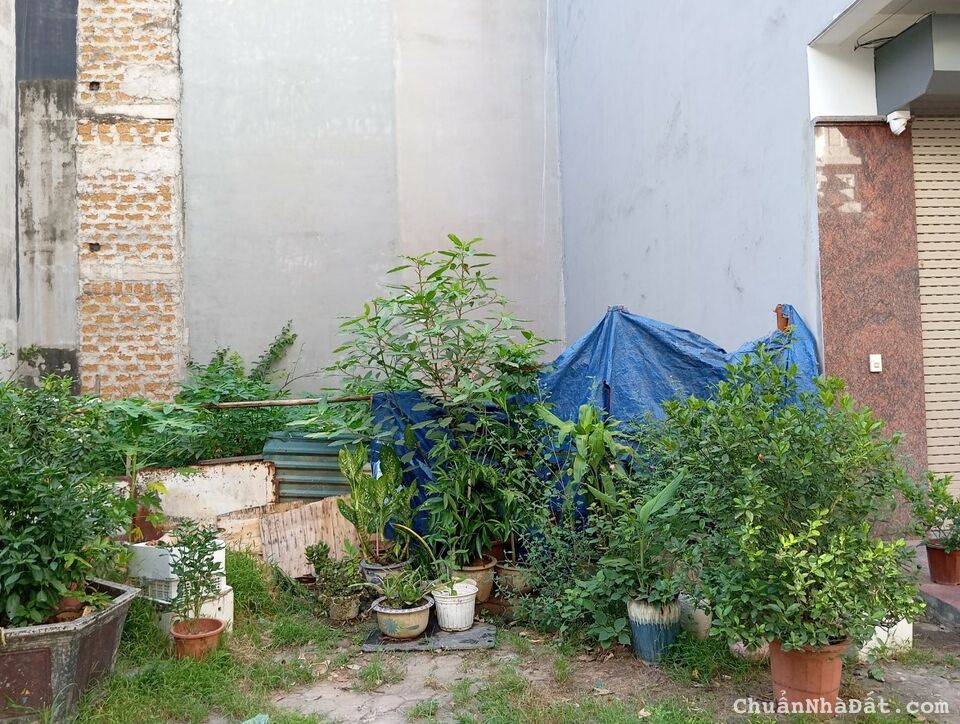 NỢ Bank bán Gấp đất đấu giá Ngô Thì Nhậm gần chợ Bông Đỏ 45m2 chỉ 8.888 tỷ. LH 0989.62.6116