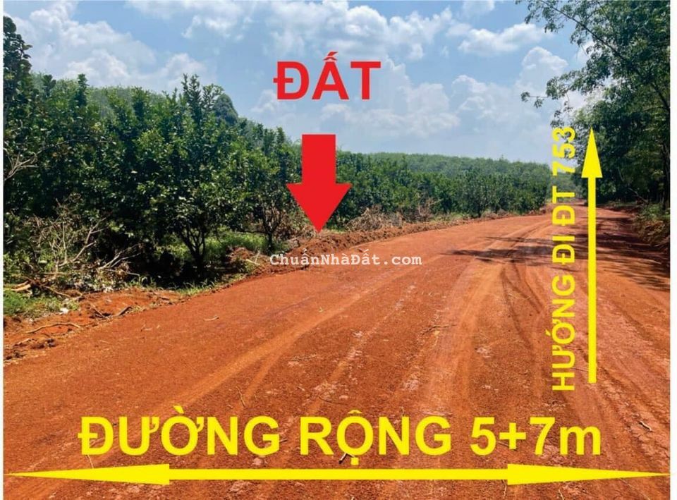 Đất vườn hơn 1000m2 ven trung tâm thành phố, tiện ích xung quanh đầy đủ, giá F0