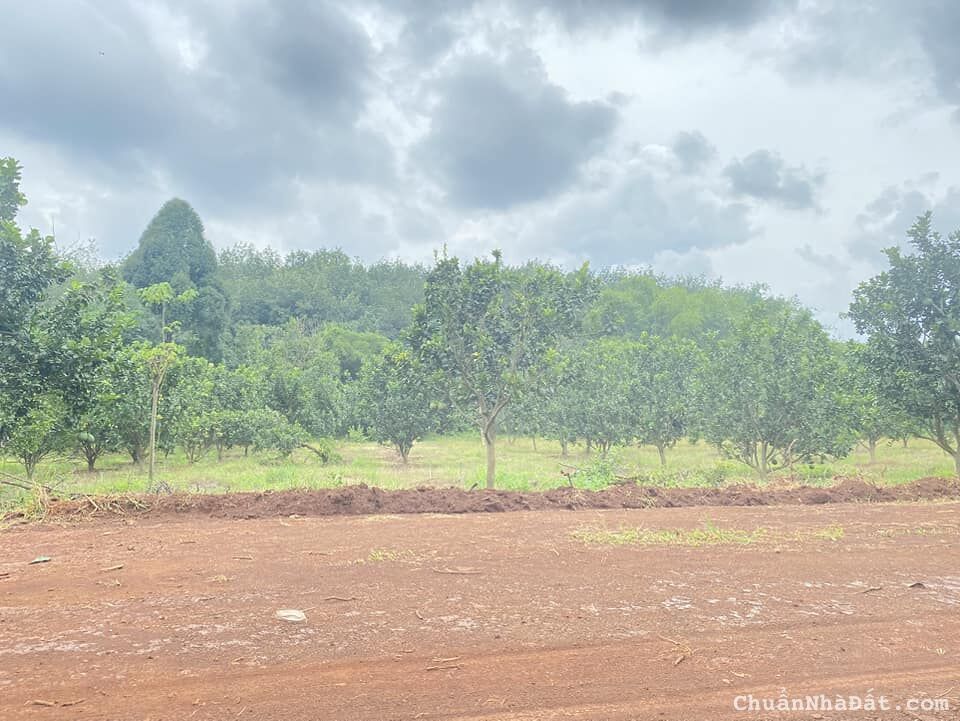 Đất vườn hơn 1000m2 ven trung tâm thành phố, tiện ích xung quanh đầy đủ, giá F0