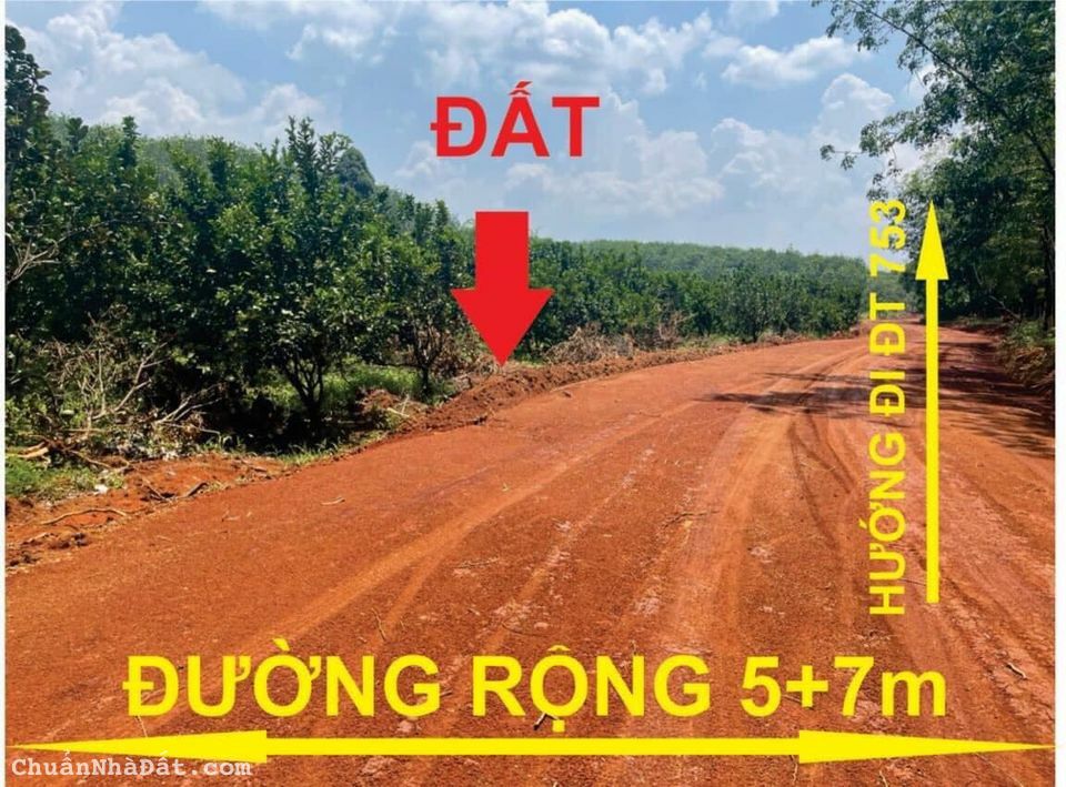 Bán Đất vườn bưởi hơn 1000m2, SHR, giá F0.