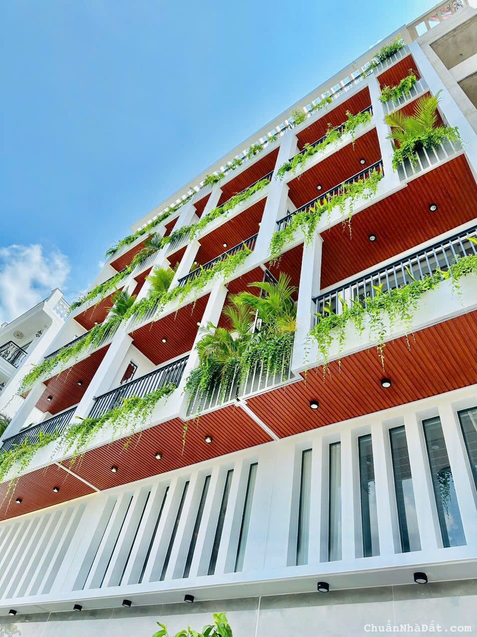 Bán Nhà Phố Liền Kề Đường Số 59, Phường 14, Quận Gò vấp, Hồ chí Minh Bán Nhà Phố Liền Kề Đường Số 59, Phường 14, Quận Gò vấp, Hồ chí Minh