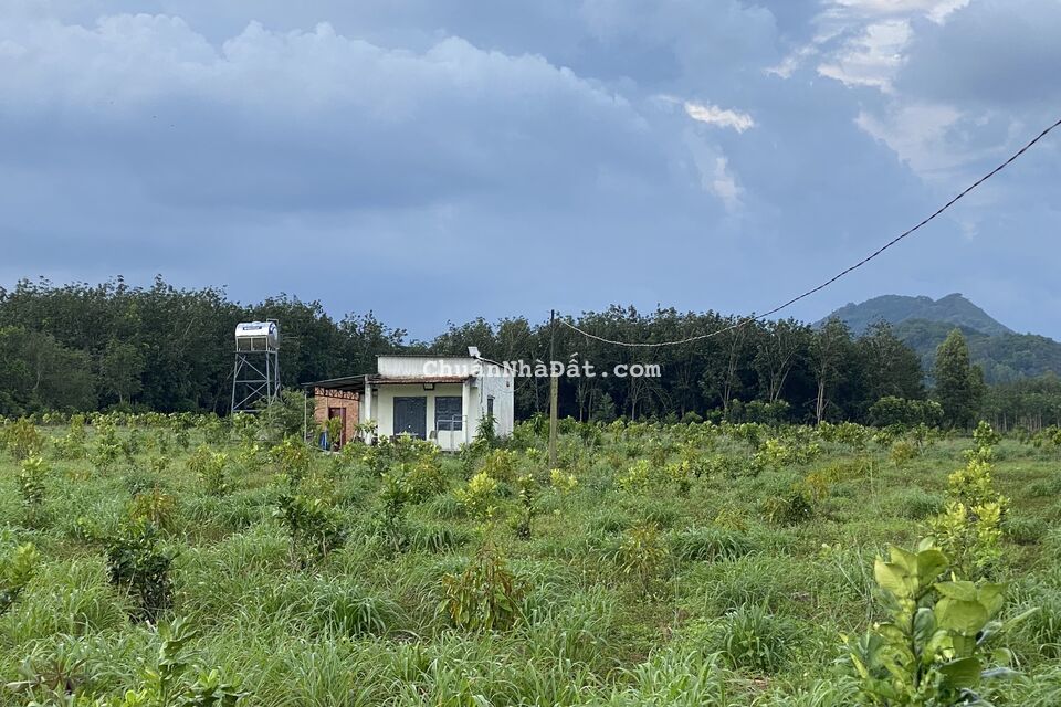 Bán Đất Khu Biển Lạc, Xã Gia An, Huyện Tánh Linh, Tỉnh Bình Thuận Bán Đất Khu Biển Lạc, Xã Gia An, Huyện Tánh Linh, Tỉnh Bình Thuận