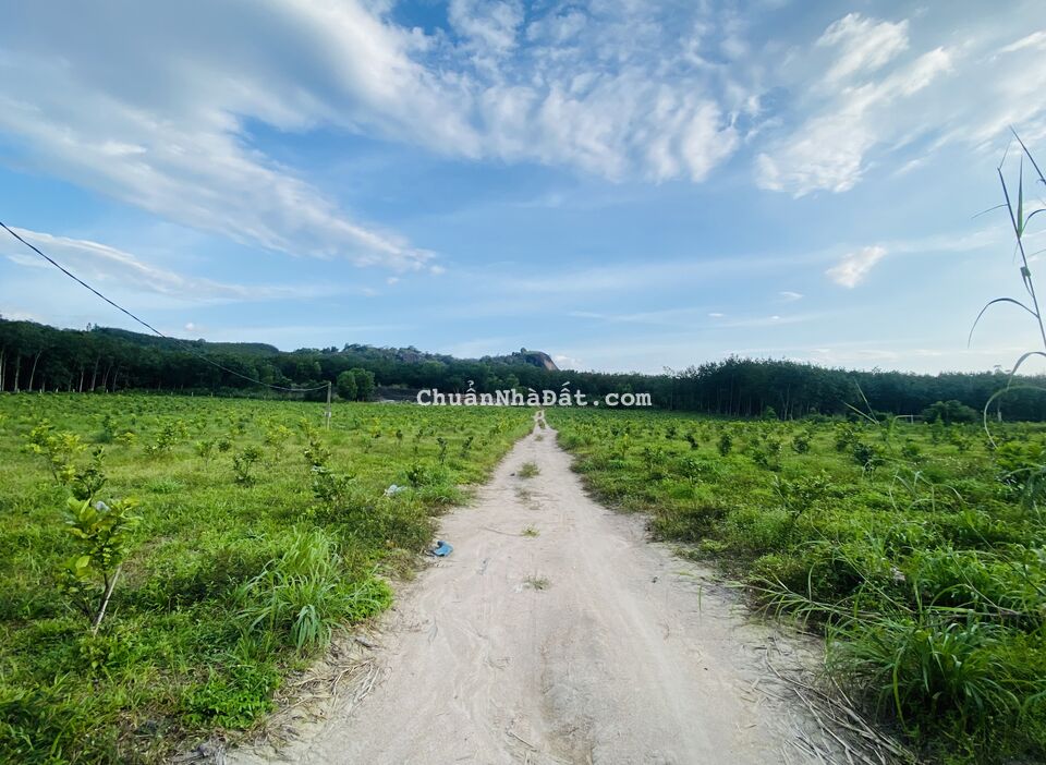 Bán Đất Khu Biển Lạc, Xã Gia An, Huyện Tánh Linh, Tỉnh Bình Thuận Bán Đất Khu Biển Lạc, Xã Gia An, Huyện Tánh Linh, Tỉnh Bình Thuận