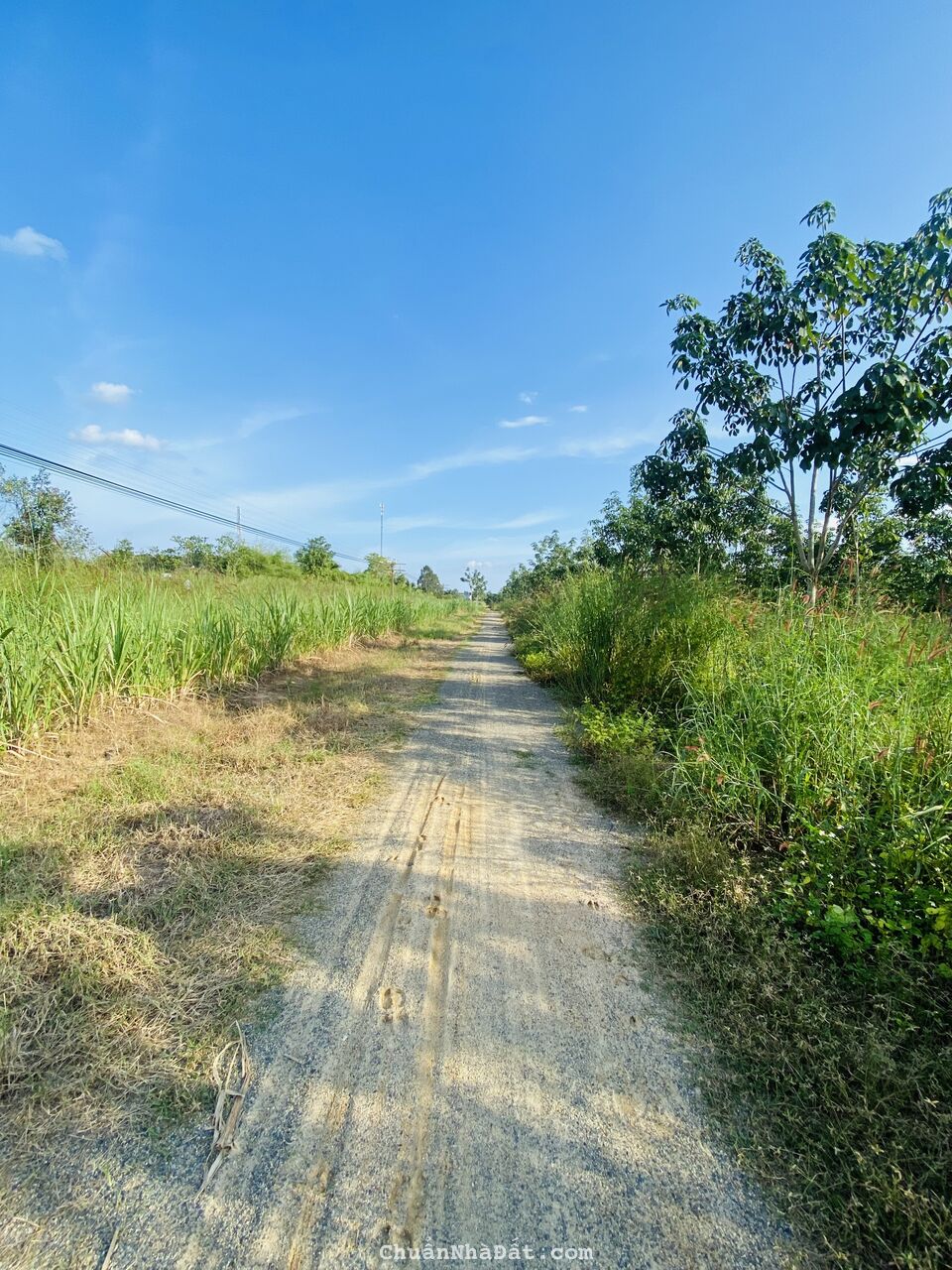 Bán 70000m2 đất góc 3MT đường Quốc Lộ 55 Huyện Tánh Linh Bình Thuận Bán 70000m2 đất góc 3MT đường Quốc Lộ 55 Huyện Tánh Linh Bình Thuận