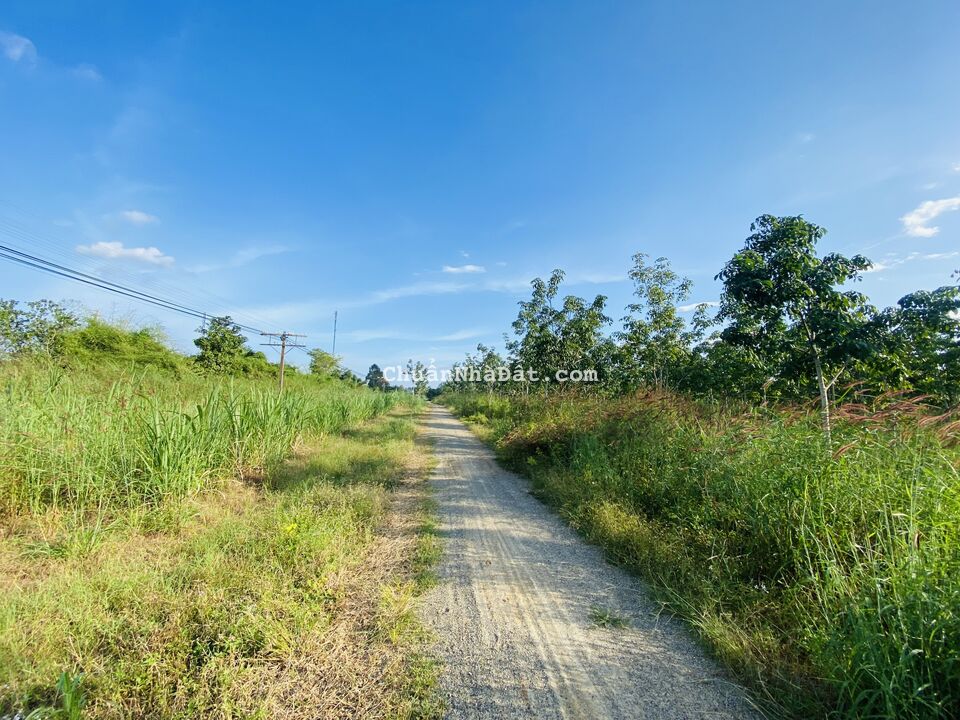 Bán 70000m2 đất góc 3MT đường Quốc Lộ 55 Huyện Tánh Linh Bình Thuận Bán 70000m2 đất góc 3MT đường Quốc Lộ 55 Huyện Tánh Linh Bình Thuận