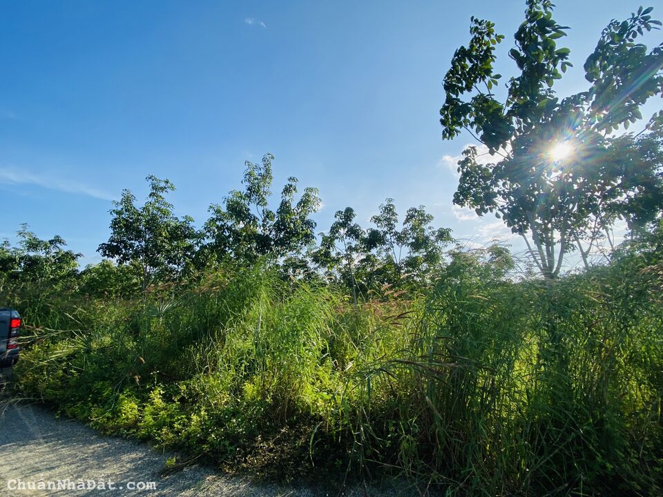 Bán 70000m2 đất góc 3MT đường Quốc Lộ 55 Huyện Tánh Linh Bình Thuận Bán 70000m2 đất góc 3MT đường Quốc Lộ 55 Huyện Tánh Linh Bình Thuận