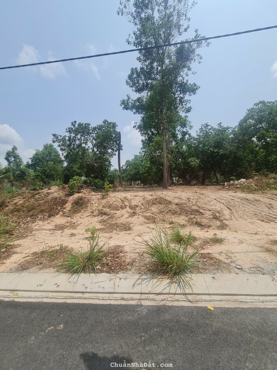 Bán 7x48 Trưng Trắc, Phường Tân An, TX LaGi giá ngộp Bán 7x48 Trưng Trắc, Phường Tân An, TX LaGi giá ngộp