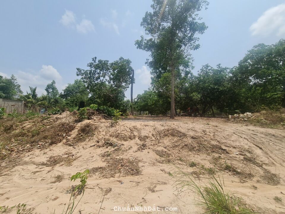 Bán 7x48 Trưng Trắc, Phường Tân An, TX LaGi giá ngộp Bán 7x48 Trưng Trắc, Phường Tân An, TX LaGi giá ngộp